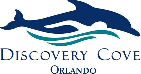 discovery logo